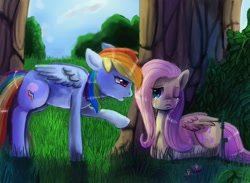 Size: 1024x750 | Tagged: safe, artist:terrac0tta, character:fluttershy, character:rainbow dash, species:pegasus, species:pony, black eye, crying, duo, duo female, female, forest, injured, mare, prone, tree