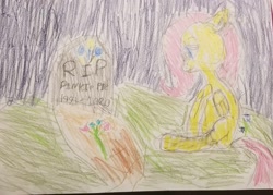 Size: 2738x1960 | Tagged: safe, artist:joeydr, character:fluttershy, species:pegasus, species:pony, female, gravestone, implied death, implied pinkie pie, mare, redraw, remake, sad, signature, solo, traditional art