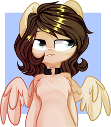 Size: 2000x2285 | Tagged: safe, artist:thieftea, oc, oc only, species:pegasus, species:pony, abstract background, chest fluff, collar, solo