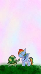 Size: 576x1024 | Tagged: safe, artist:tomizawa96, character:rainbow dash, character:tank, species:pegasus, species:pony, backwards cutie mark, grass, sky, tortoise