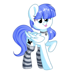 Size: 1200x1200 | Tagged: safe, artist:thieftea, oc, oc only, oc:snow pup, species:pegasus, species:pony, clothing, collar, female, lifted leg, mare, simple background, socks, solo, standing, striped socks, tongue out, transparent background