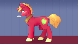 Size: 2560x1440 | Tagged: safe, artist:fuzzypones, character:big mcintosh, species:earth pony, species:pony, apology, blushing, dialogue, freckles, male, sad, solo, speech bubble, stallion, standing