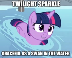 Size: 556x449 | Tagged: safe, artist:mlpfan3991, edit, edited screencap, screencap, character:twilight sparkle, character:twilight sparkle (alicorn), species:alicorn, species:pony, episode:deep tissue memories, spoiler:deep tissue memories, caption, cropped, cute, female, image macro, solo, swanlight sparkle, text, twiabetes, twilight duckle