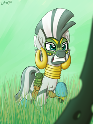 Size: 1500x2000 | Tagged: safe, artist:litrojia, character:queen chrysalis, character:zecora, species:changeling, species:zebra, newbie artist training grounds, episode:the cutie re-mark, alternate timeline, angry, atg 2020, bag, changeling queen, cheek fluff, chest fluff, chrysalis resistance timeline, ear fluff, ear piercing, earring, female, gourd, grass, gritted teeth, jewelry, mask, neck rings, piercing, raised hoof, resistance leader zecora, saddle bag, scene interpretation, solo focus, this will end in pain