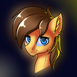 Size: 1742x1759 | Tagged: safe, artist:qbellas, oc, oc only, species:pony, bust, head, simple background