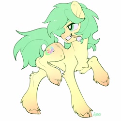 Size: 1024x1024 | Tagged: safe, artist:amo, oc, oc only, species:pony, mouth hold, paintbrush, raised hoof, simple background, solo, unshorn fetlocks, white background