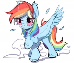 Size: 1867x1600 | Tagged: safe, artist:amo, character:rainbow dash, species:pegasus, species:pony, cute, dashabetes, female, simple background, solo, spread wings, unshorn fetlocks, white background, wings