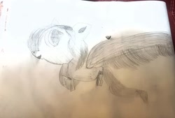 Size: 1080x729 | Tagged: safe, artist:bellas.den, oc, oc only, species:pegasus, species:pony, pegasus oc, solo, traditional art, wings