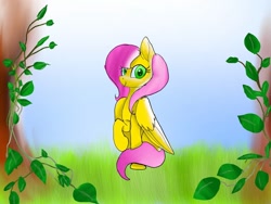 Size: 1080x810 | Tagged: safe, artist:bellas.den, character:fluttershy, species:pegasus, species:pony, g4, 2010s, 2019, female, mare, outdoors, raised hoof, sitting, solo, tree, vine