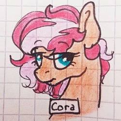 Size: 1080x1080 | Tagged: safe, artist:galaxy.in.mind, oc, oc only, oc:cora, species:earth pony, species:pony, g4, bust, earth pony oc, female, frown, graph paper, mare, traditional art