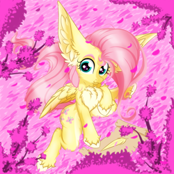 Size: 2500x2500 | Tagged: safe, artist:rurihal, character:fluttershy, species:pegasus, species:pony, g4, :3, chest fluff, cute, ear fluff, feather, female, hoof fluff, impossibly large ears, large ears, looking at you, mare, pale belly, raised hoof, scroll, shyabetes, solo, unshorn fetlocks
