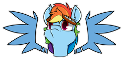 Size: 1400x683 | Tagged: safe, artist:dacaoo, character:rainbow dash, species:pegasus, species:pony, g4, female, goggles, simple background, solo, transparent background