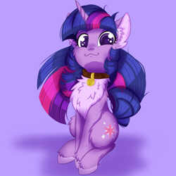 Size: 2500x2500 | Tagged: safe, artist:rurihal, character:twilight sparkle, character:twilight sparkle (unicorn), species:pony, species:unicorn, g4, behaving like a dog, cheek fluff, chest fluff, collar, cute, ear fluff, hoof fluff, owo, pale belly, pet tag, pony pet, solo, twiabetes