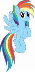 Size: 7979x16231 | Tagged: safe, artist:firesidearmy46231, character:rainbow dash, species:pegasus, species:pony, g4, alternate hairstyle, alternate mane style, cute, dashabetes, female, flying, g4.5 to g4, looking at you, mare, simple background, solo, transparent background, vector