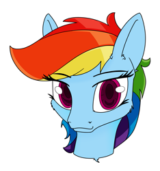 Size: 1219x1300 | Tagged: safe, artist:dacaoo, character:rainbow dash, species:pony, g4, bust, cheek fluff, eyelashes, female, looking at you, mare, simple background, solo, white background