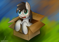 Size: 3100x2200 | Tagged: safe, artist:almaustral, oc, oc only, species:earth pony, species:pony, g4, box, earth pony oc, eye reflection, open mouth, pony in a box, reflection, signature, smiling, solo
