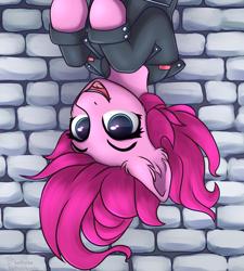 Size: 2250x2500 | Tagged: safe, artist:lakunae, character:pinkie pie, species:pony, g4, australian, clothing, female, inverted, jacket, mare, upside down