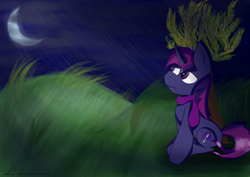 Size: 3100x2200 | Tagged: safe, artist:almaustral, oc, oc only, species:pony, g4, clothing, crescent moon, full moon, grass, moon, night, scarf, solo, tree