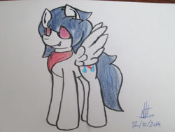 Size: 1200x900 | Tagged: safe, artist:almaustral, oc, oc only, species:pegasus, species:pony, g4, neckerchief, pegasus oc, signature, solo, sunglasses, traditional art, wings