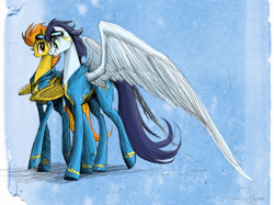 Size: 1072x800 | Tagged: safe, artist:nastylady, character:soarin', character:spitfire, species:pegasus, species:pony, g4, big wings, female, male, mare, photoshop, stallion, wings, wonderbolts