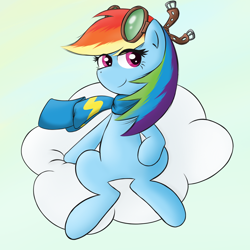 Size: 1000x1000 | Tagged: dead source, safe, artist:spaerk, character:rainbow dash, species:pegasus, species:pony, clothing, female, goggles, scarf, solo