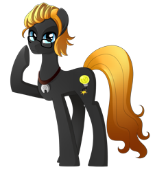 Size: 849x941 | Tagged: safe, artist:haydee, oc, oc only, oc:epiphany bomb, species:earth pony, species:pony, male, necklace, simple background, solo, stallion, transparent background
