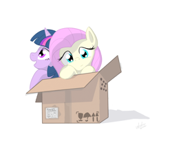 Size: 900x750 | Tagged: safe, artist:zlack3r, character:fluttershy, character:twilight sparkle, species:pegasus, species:pony, species:unicorn, g4, box, cardboard box, duo, female, mare, pony in a box, simple background, white background