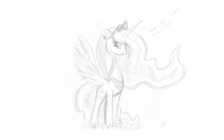 Size: 1536x960 | Tagged: safe, artist:zlack3r, character:angel bunny, character:fluttershy, species:alicorn, species:pony, g4, alicornified, female, fluttercorn, mare, monochrome, race swap, simple background, sketch