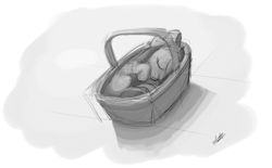 Size: 1344x832 | Tagged: safe, artist:zlack3r, character:apple bloom, species:earth pony, species:pony, basket, curled up, female, filly, grayscale, monochrome, pony in a basket, sketch, sleeping, solo
