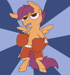 Size: 1090x1168 | Tagged: safe, artist:comickit, character:scootaloo, species:pegasus, species:pony, bipedal, boxing, boxing gloves, clothing, female, mouth guard, shorts, solo