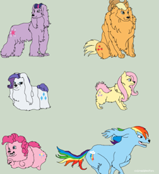Size: 853x936 | Tagged: safe, artist:sketch-shepherd, character:applejack, character:fluttershy, character:pinkie pie, character:rainbow dash, character:rarity, character:twilight sparkle, species:dog, appledog, dogified, flutterdog, puppy pie, raridog, species swap, twilight barkle