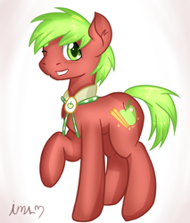 Size: 920x1080 | Tagged: safe, artist:imspainter, character:apple cinnamon, species:earth pony, species:pony, apple, apple family member, bolo tie, collar, male, solo, stallion