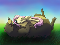 Size: 2781x2071 | Tagged: safe, artist:dawnmistpony, character:fluttershy, character:harry, bear, cute, shyabetes, sleeping