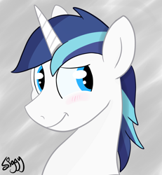 Size: 2438x2640 | Tagged: safe, artist:siggyderp, character:shining armor, species:pony, species:unicorn, blushing, bust, cute, male, portrait, profile, shining adorable, signature, smiling, solo, stallion