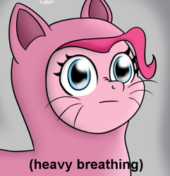Size: 555x575 | Tagged: safe, artist:icebreak23, character:pinkie pie, species:earth pony, species:pony, bust, cat costume, clothing, costume, descriptive noise, female, heavy breathing, meme, nose wrinkle, parody, pinkie cat, ponified meme, reaction image, solo, whiskers, wide eyes