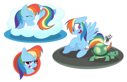 Size: 1280x828 | Tagged: safe, artist:secoh2000, character:rainbow dash, character:tank, cloud, duo, pet, sleeping