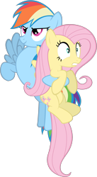 Size: 1347x2456 | Tagged: safe, artist:regolithx, character:fluttershy, character:rainbow dash, simple background, transparent background, vector