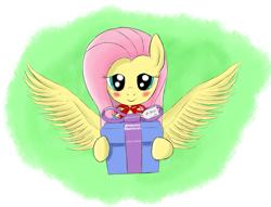 Size: 1333x1017 | Tagged: safe, artist:kasaler, character:fluttershy, female, present, solo