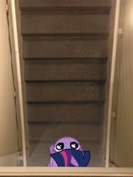 Size: 2448x3264 | Tagged: safe, artist:dreamcasterpegasus, artist:strelok-2, character:twilight sparkle, irl, looking up, photo, ponies in real life, smiling, solo, stairs, vector