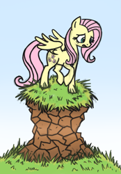 Size: 1093x1569 | Tagged: safe, artist:wolframclaws, character:fluttershy, female, hill, solo
