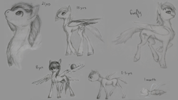 Size: 7944x4440 | Tagged: safe, artist:cuttledreams, character:firefly, character:rainbow dash, absurd resolution, age progression, headcanon, hooves, monochrome, older, sketch dump, traditional art, younger