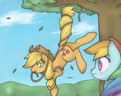 Size: 1104x874 | Tagged: safe, artist:soulspade, character:applejack, character:rainbow dash, species:pony, ship:appledash, blushing, bondage, fail, female, lesbian, looking at her butt, rope, shipping, suspended, tied up, tree, who's a silly pony