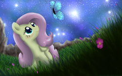 Size: 1440x900 | Tagged: dead source, safe, artist:sonicrainboom93, character:fluttershy, butterfly, female, flower, night, solo
