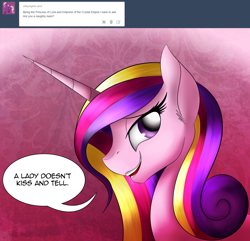 Size: 1280x1235 | Tagged: safe, artist:iraincloud, character:princess cadance, species:alicorn, species:pony, ladybugs-awake, abstract background, ask, dialogue, ear fluff, female, looking at you, mare, open mouth, profile, solo, speech bubble, tumblr