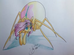 Size: 960x717 | Tagged: safe, artist:ebonytails, character:fluttershy, comic:children of everfree, drider, monster pony, original species, species swap, spider, spiderpony, spidershy, traditional art