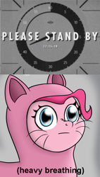 Size: 553x977 | Tagged: safe, artist:icebreak23, character:pinkie pie, catsuit, countdown, descriptive noise, fallout, fallout 4, female, heavy breathing, hype, meme, reaction image, solo, wide eyes
