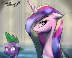 Size: 1306x1054 | Tagged: safe, artist:sakuracheetah, character:princess cadance, character:spike, episode:princess spike, g4, my little pony: friendship is magic, flood, floppy ears, fluffy, frown, looking at you, scene interpretation, unamused, water, wet, wide eyes