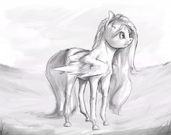 Size: 1926x1524 | Tagged: safe, artist:cuttledreams, character:fluttershy, female, looking away, monochrome, solo, spread wings, standing, wings