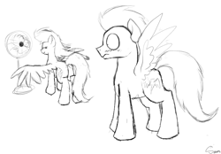 Size: 1474x1024 | Tagged: safe, artist:icylightning, artist:sevenserenity, character:rainbow dash, character:soarin', species:pony, ship:soarindash, blushing, fan, female, male, monochrome, old cutie mark, shipping, sketch, straight, wingboner
