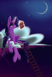 Size: 600x900 | Tagged: safe, artist:banoodle, character:twilight sparkle, character:twilight sparkle (unicorn), species:pony, species:unicorn, book, braid, cloud, cloven hooves, crescent moon, female, glowing horn, horn, ladder, magic, mare, moon, on a cloud, solo, stars, telekinesis, unshorn fetlocks